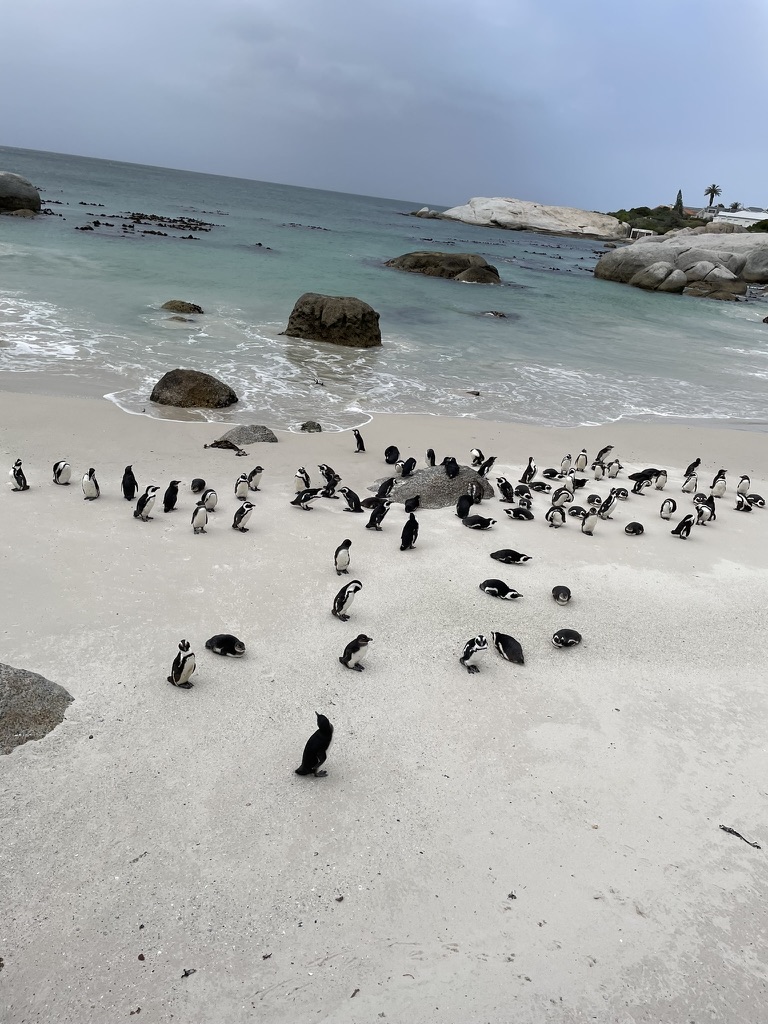 Capetown, South Africa